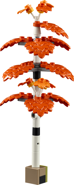 11372 Syksyinen mökkipuutarha