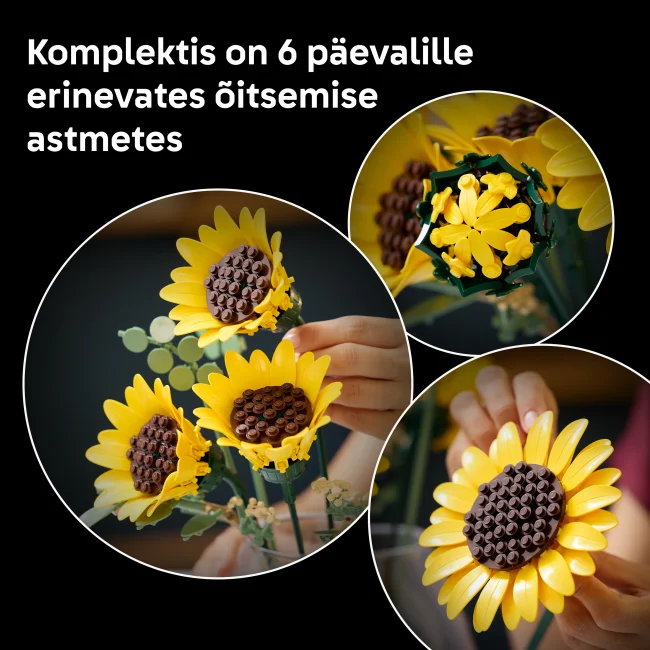 11502 Auringonkukkakimppu