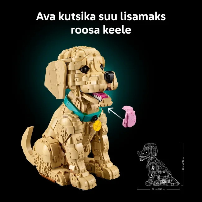 11384 Kultaisen noutajan pentu