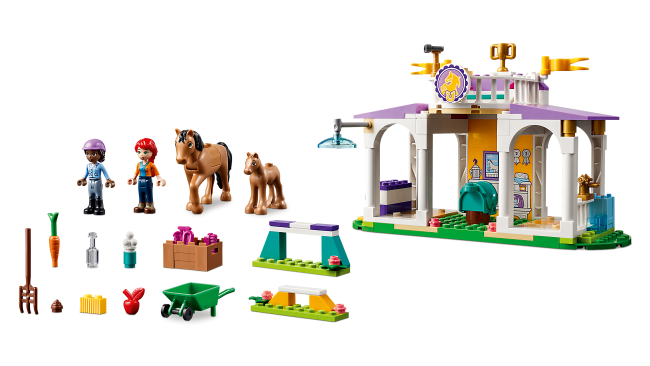 41746 Ratsastustunti