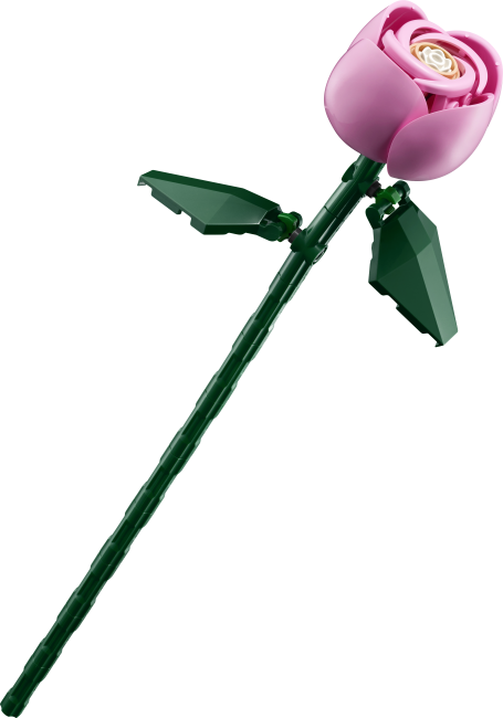 10374 Roosa roosikimp