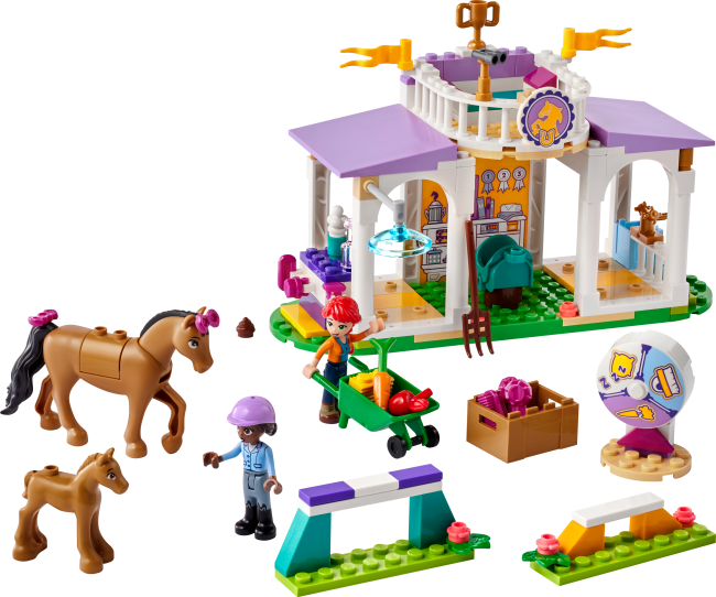 41746 Ratsastustunti