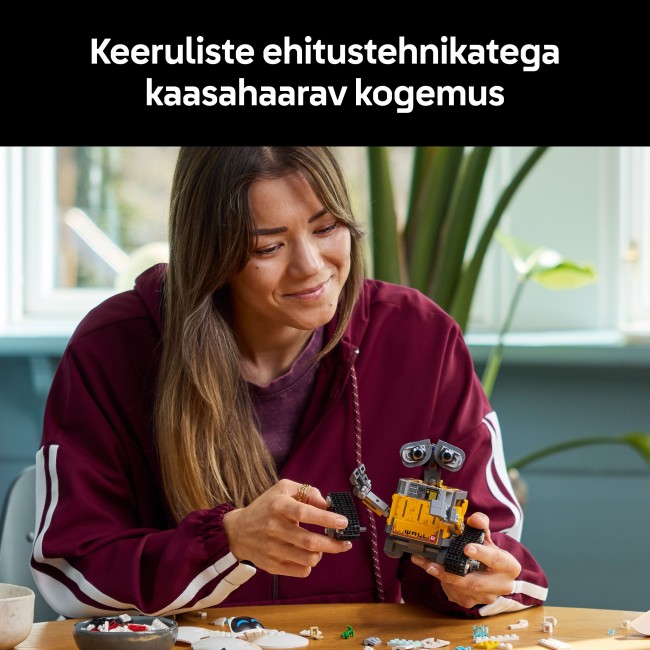 43279 Wall-E ja Eve
