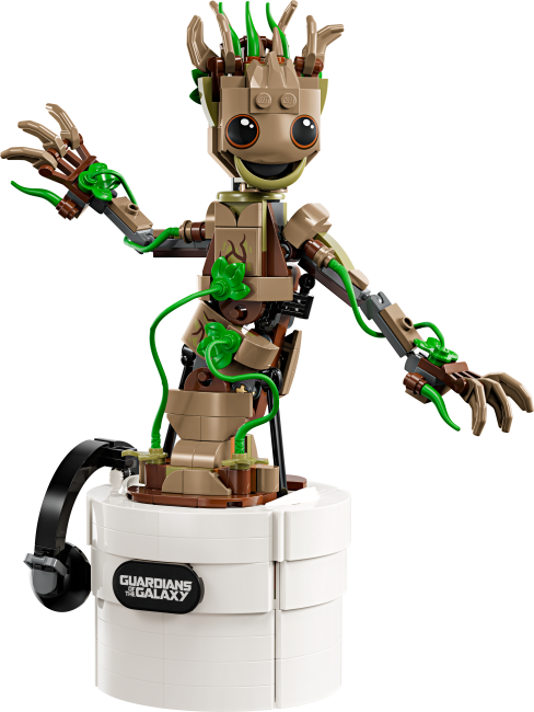 76297 Tantsiv Groot