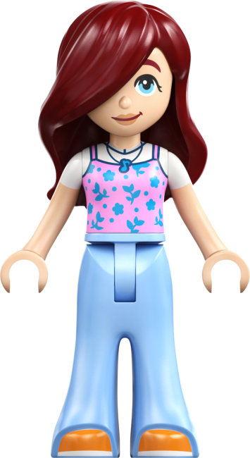 42692 Jäätise- ja õhupallilett