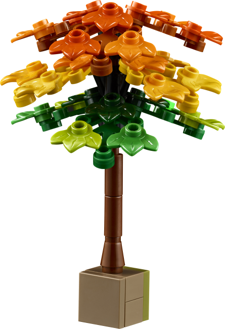 11372 Syksyinen mökkipuutarha