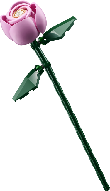 10374 Roosa roosikimp