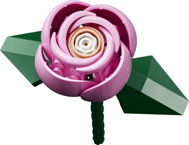 10374 Roosa roosikimp