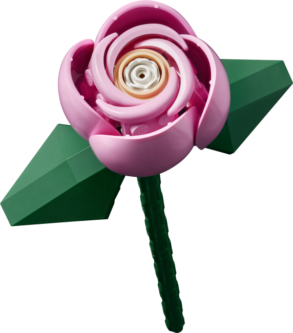 10374 Roosa roosikimp