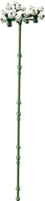 10374 Roosa roosikimp