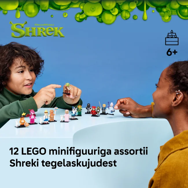 71053 Shreki sari