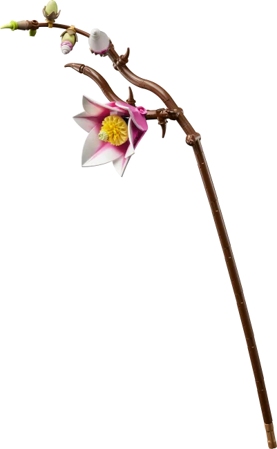 11510 Magnolian oksat