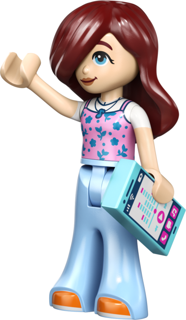 42692 Jäätise- ja õhupallilett