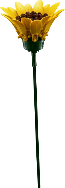 11502 Auringonkukkakimppu