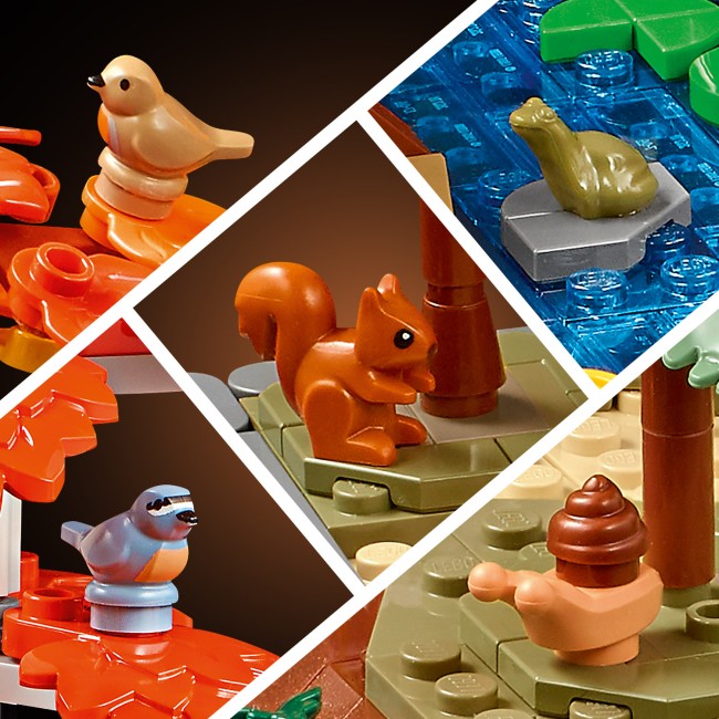 11372 Syksyinen mökkipuutarha