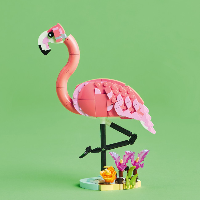 31170 Villieläimet: vaaleanpunainen flamingo