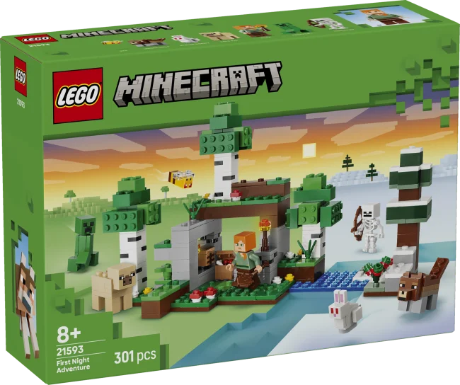 21593 Esimese öö seiklus