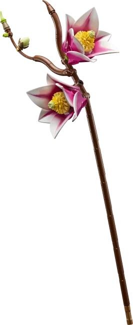 11510 Magnolian oksat