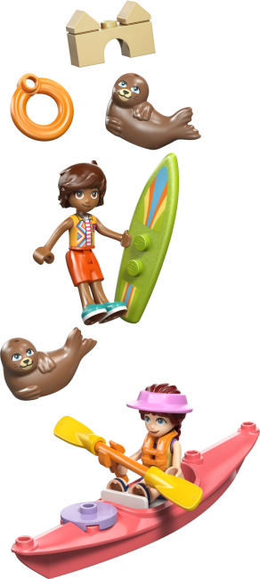 42699 Rannamaja hüljestega