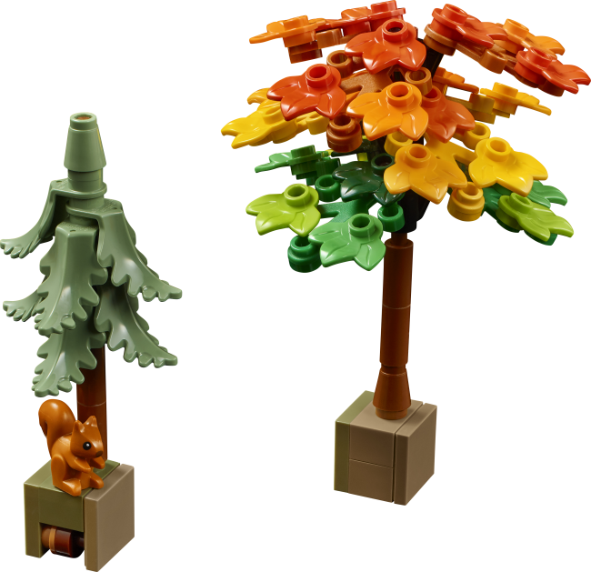 11372 Syksyinen mökkipuutarha