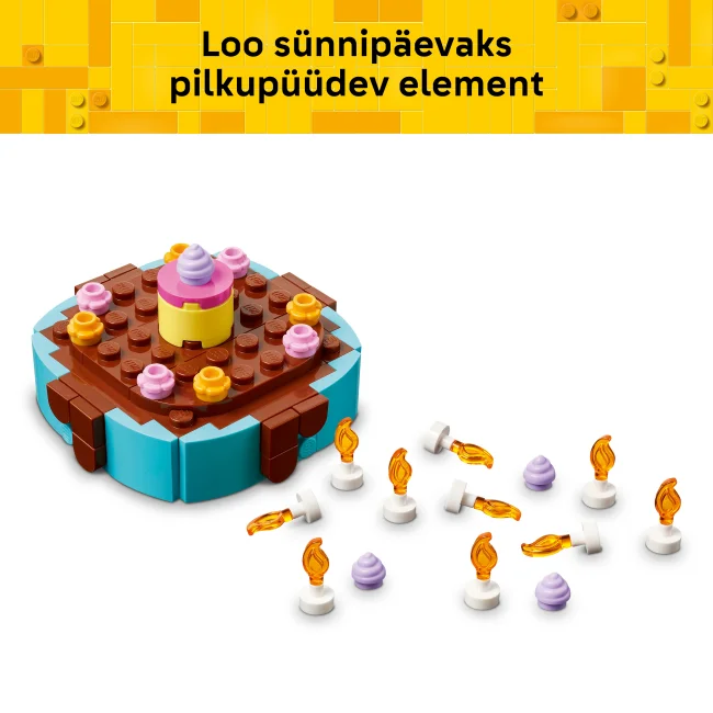 40815 Sünnipäevakook