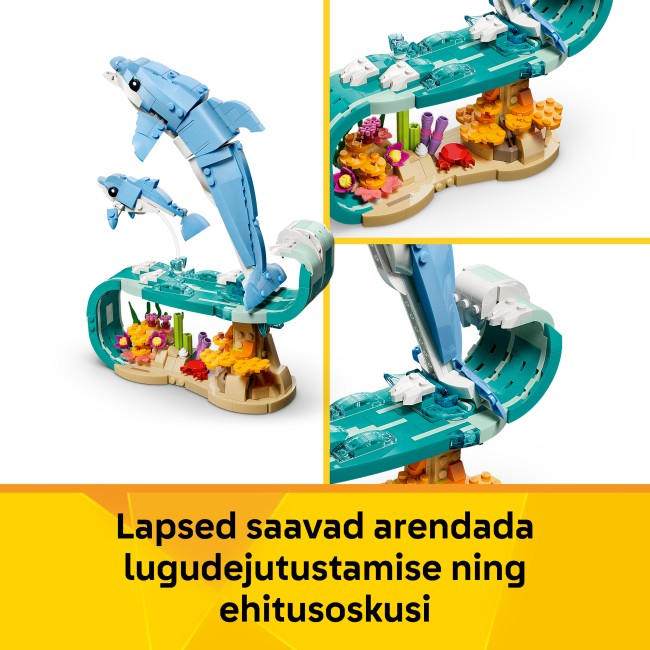 31385 Jūras dzīvnieki: Skaistie delfīni