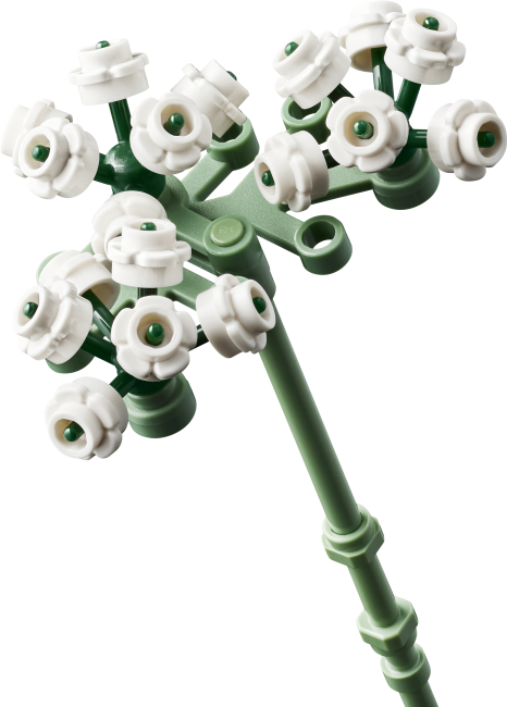 10374 Roosa roosikimp