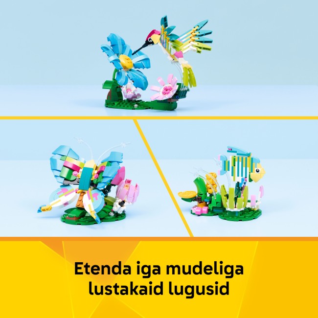 31384 Metsloomad: Värviline koolibri