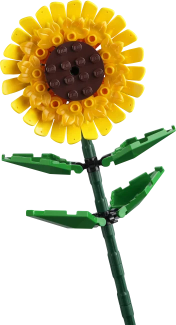 40524 Подсолнухи