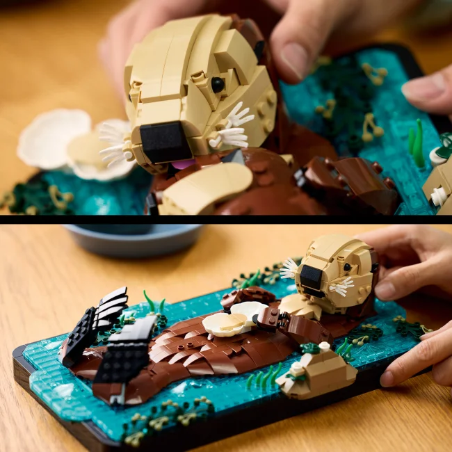 21366 Kelluvat merisaukot