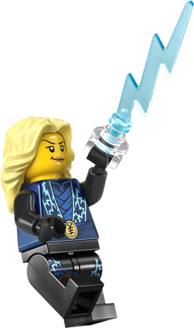 71866 Ninjategelaste väljapanek, 15. aastapäev