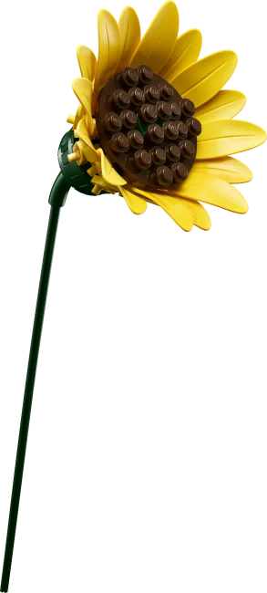 11502 Auringonkukkakimppu