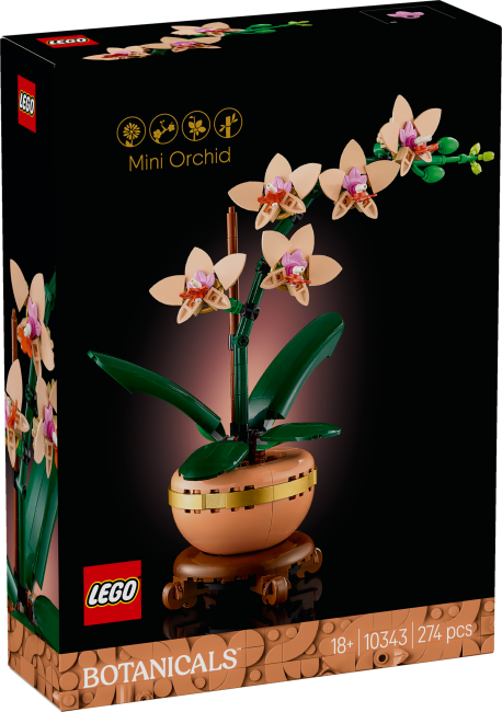 10343 Miniorkidea