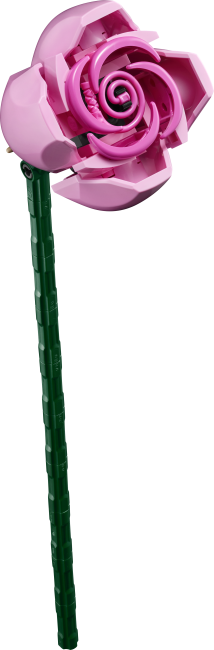 10374 Roosa roosikimp