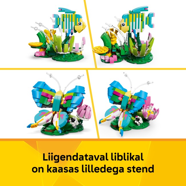 31384 Metsloomad: Värviline koolibri