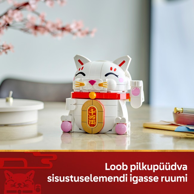 40813 Õnne toov kass