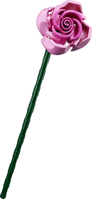 10374 Roosa roosikimp