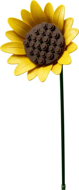 11502 Auringonkukkakimppu