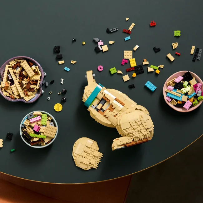 11384 Kultaisen noutajan pentu