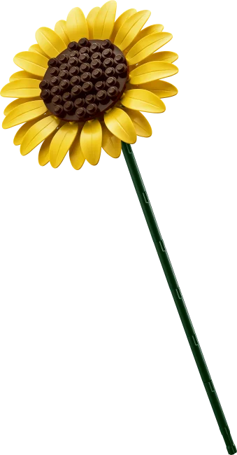 11502 Auringonkukkakimppu