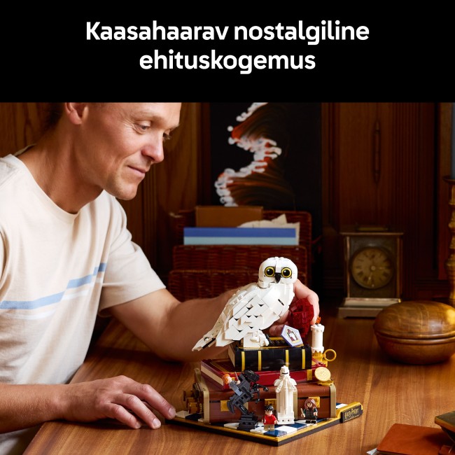 76466 Философский камень: коллекционное издание