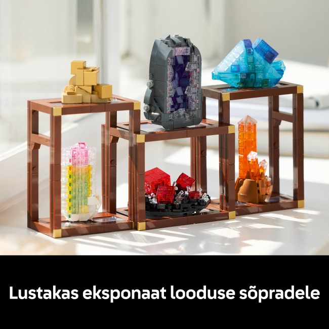 21362 Mineraalikokoelma