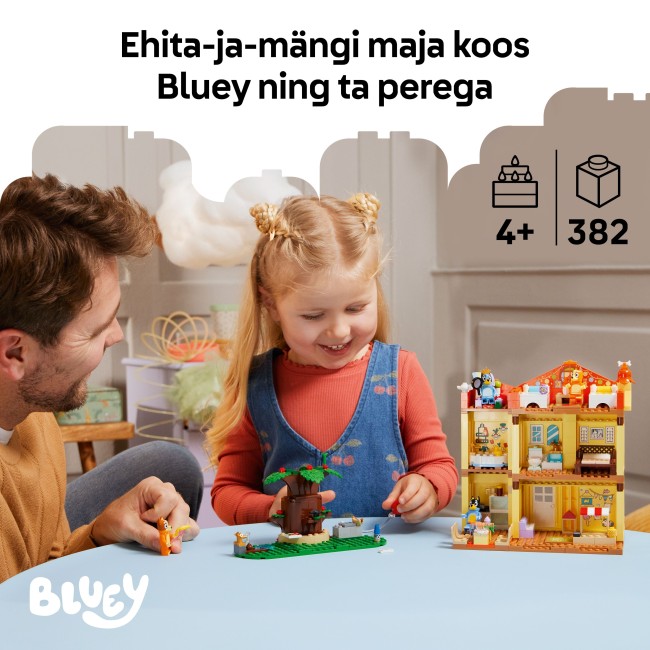 11203 Blueyn perheen talo