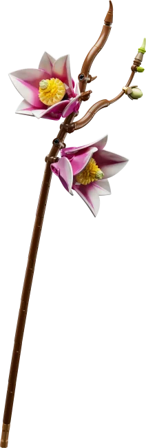 11510 Magnolian oksat