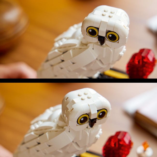 76466 Философский камень: коллекционное издание