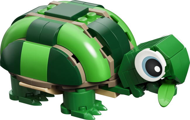 31377 Kilpkonn vesiroosiga