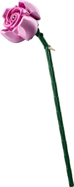 10374 Roosa roosikimp