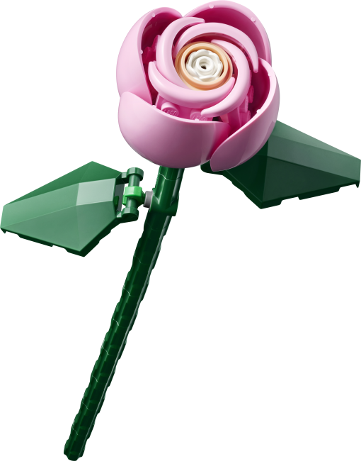 10374 Roosa roosikimp