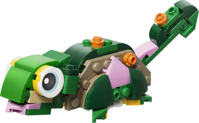 31377 Kilpkonn vesiroosiga