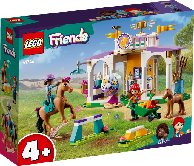 41746 Ratsastustunti